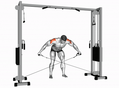 <strong>Отведение на заднюю дельту в наклоне</strong>