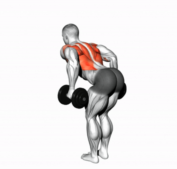 Тяга гантелей в наклоне